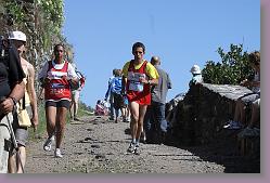 Salers 25.05.11 03 447 * 640 x 427 * (122KB)